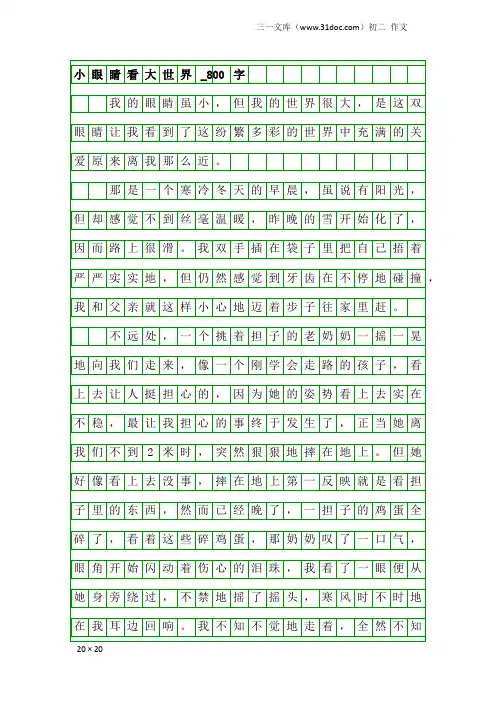初二作文：小眼睛看大世界_800字