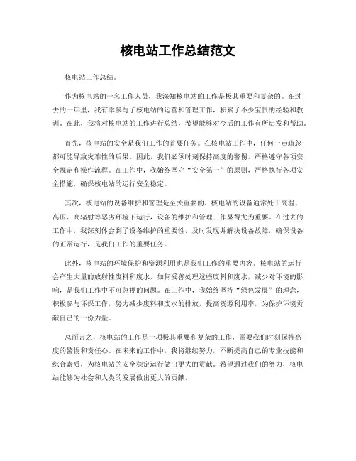 核电站工作总结范文