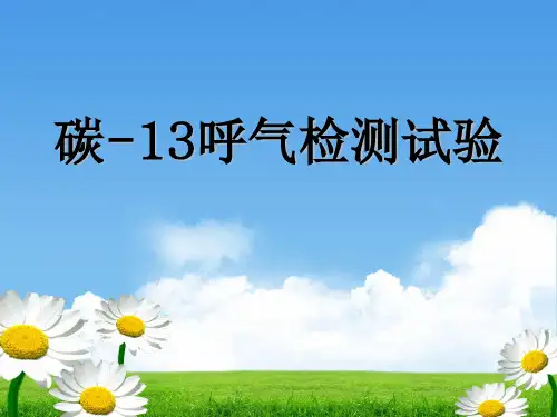 碳13 PPT