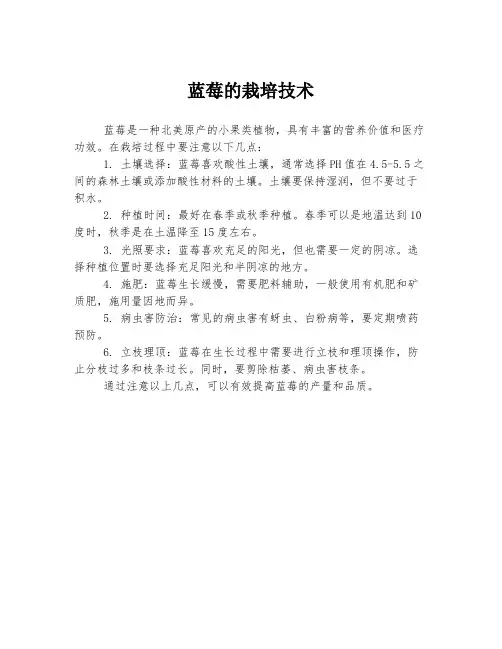 蓝莓的栽培技术
