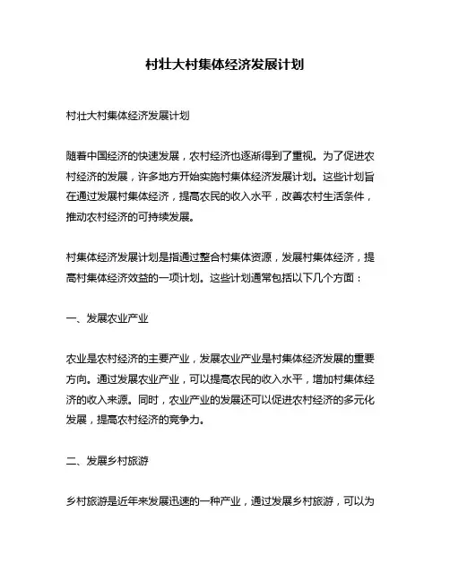 村壮大村集体经济发展计划