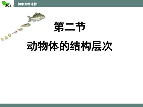 人教生物七上.2动物体的结构层次课件