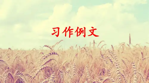 习作例文(上课课件,共26张PPT)语文人教部编版三年级下