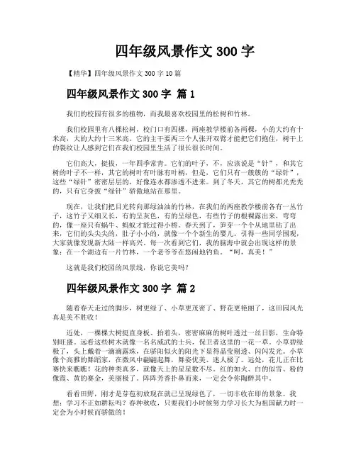 四年级风景作文300字