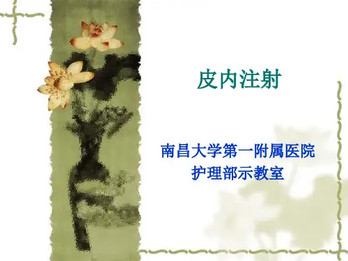 皮内注射(青霉素