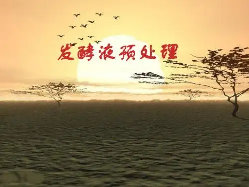 14 发酵液的预处理和固液分离方法
