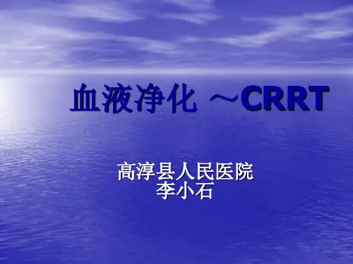 血液净化PPT课件