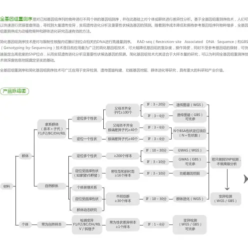 动植物全基因组重测序简介