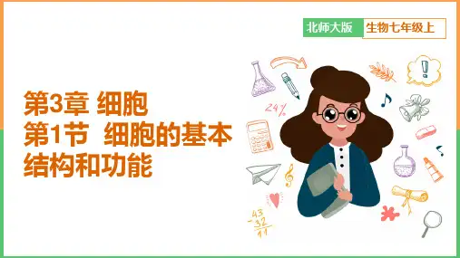 初中生物北师大版七年级上册《细胞基本结构和功能》课件