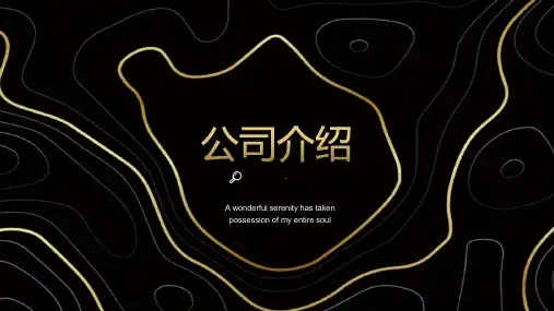 黑金精美曲线线条背景公司介绍PPT模板