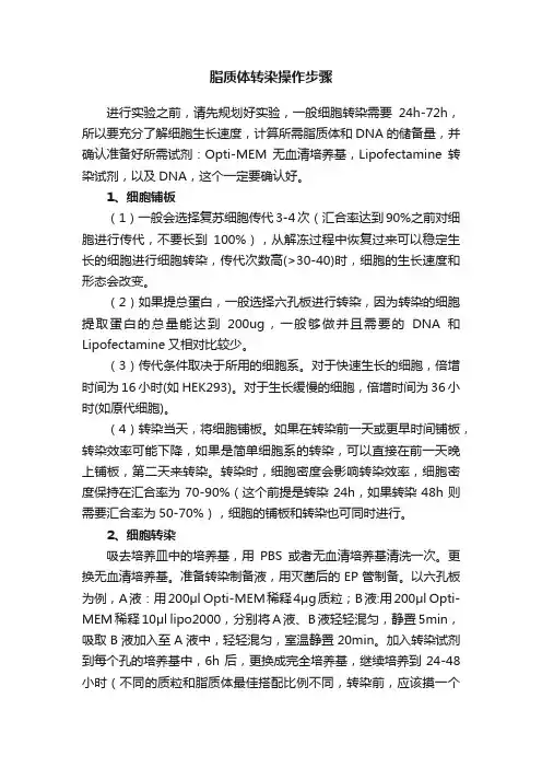 脂质体转染操作步骤