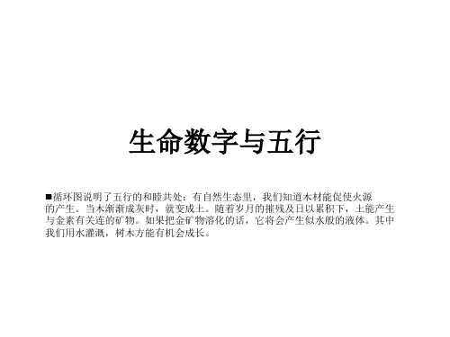 生命数字与五行-1