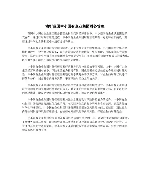 浅析我国中小国有企业集团财务管理