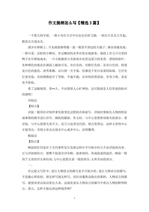 精选作文提纲怎么写【3篇】