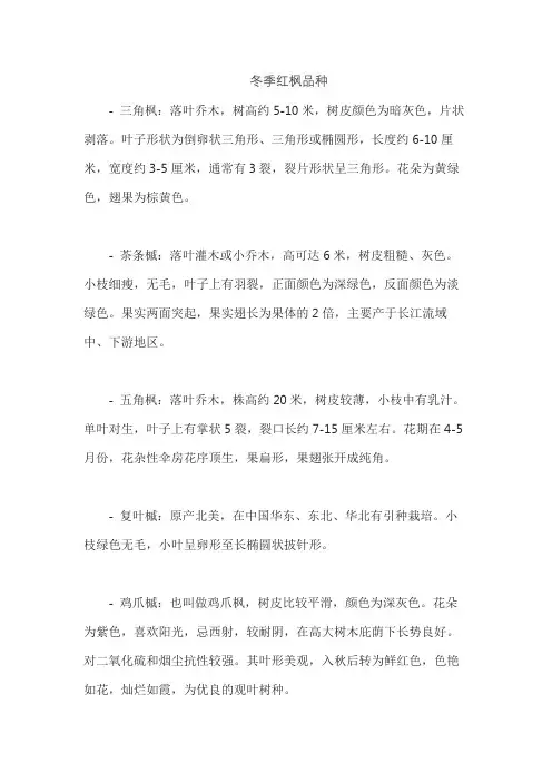 冬季红枫品种