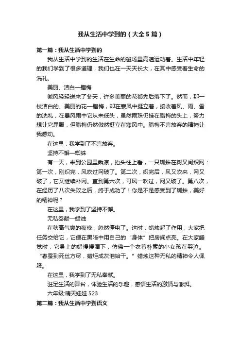 我从生活中学到的（大全5篇）