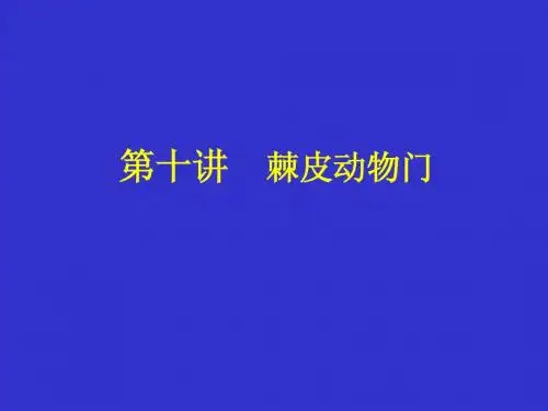 棘皮动物门