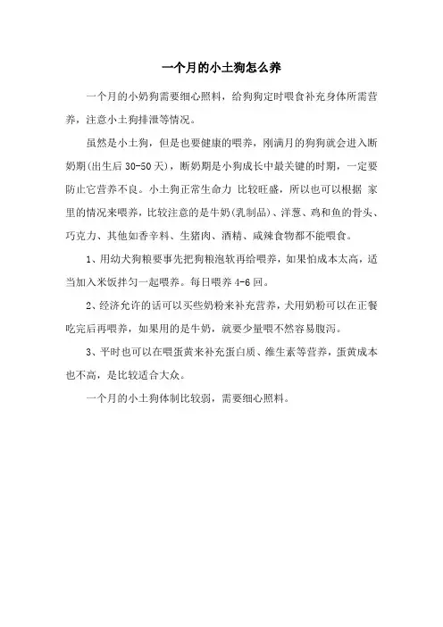 一个月的小土狗怎么养