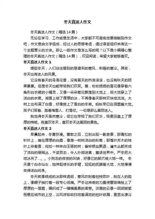 冬天真迷人作文（精选14篇）