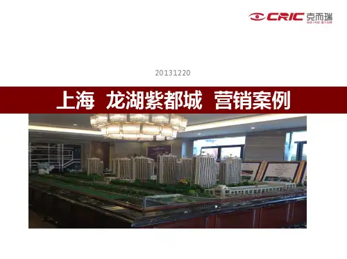上海龙湖紫都城营销案例完整篇