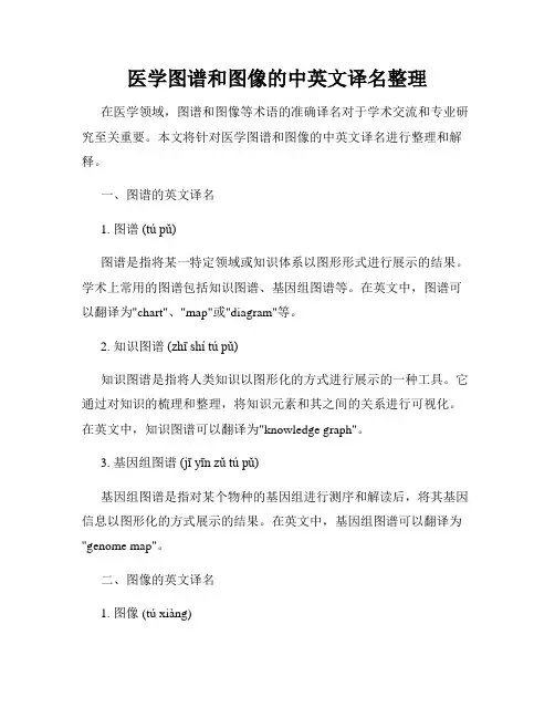 医学图谱和图像的中英文译名整理