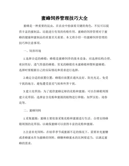 蜜蜂饲养管理技巧大全