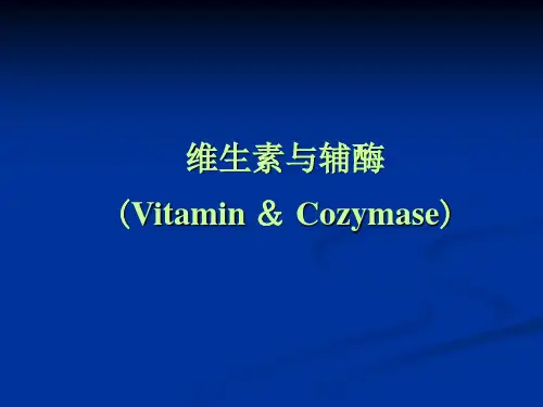 维生素与辅酶