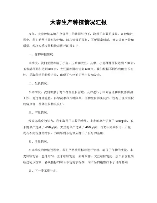 大春生产种植情况汇报