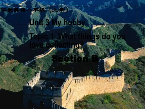 My hobby PPT