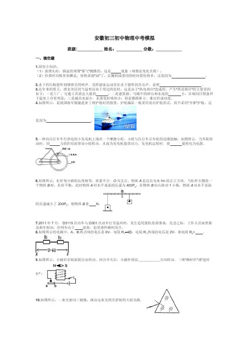 安徽初三初中物理中考模拟带答案解析
