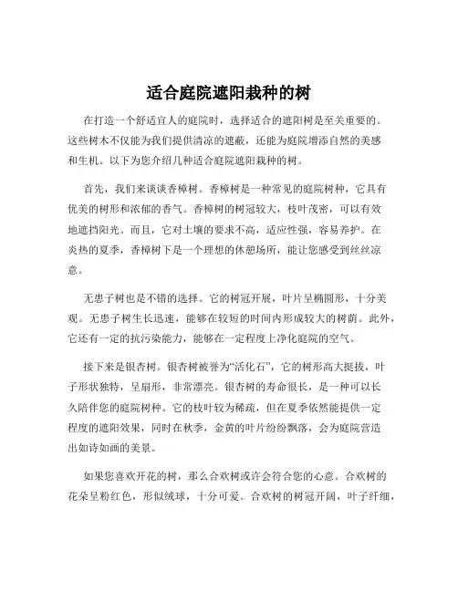 适合庭院遮阳栽种的树