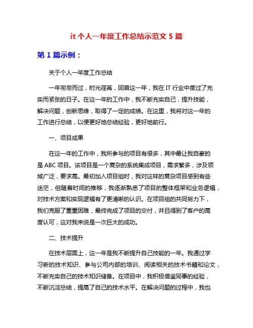 it个人一年度工作总结示范文5篇
