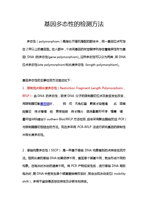 基因多态性的检测方法