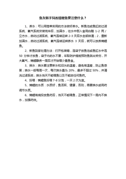鱼友新手饲养锦鲤鱼要注意什么？