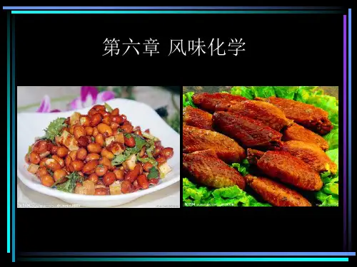 食品化学风味化学资料