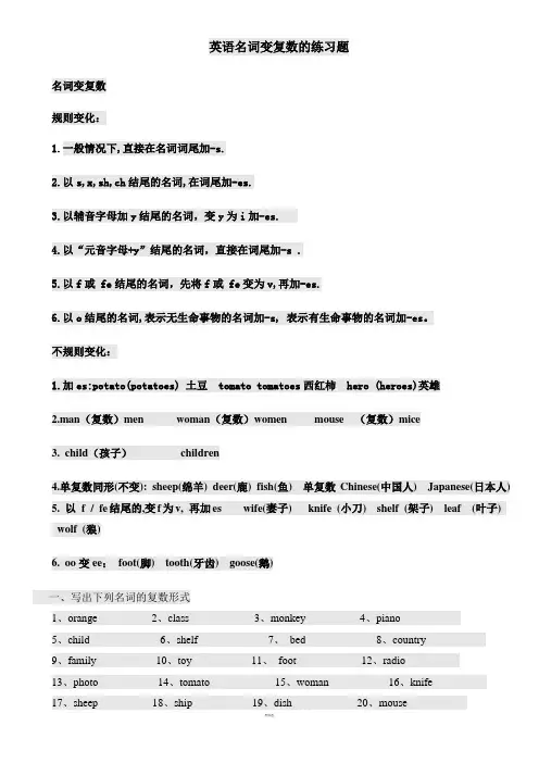 名词变复数练习题
