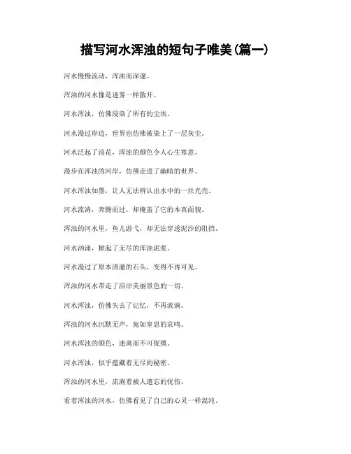 描写河水浑浊的短句子唯美(精选2篇)
