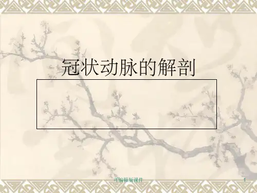 冠状动脉解剖PPT课件