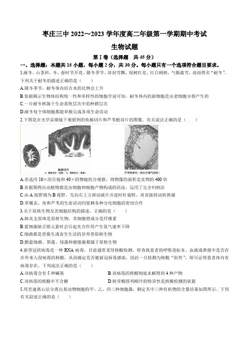 山东省枣庄市三中2022-2023学年高一12月期中生物试题(无答案)