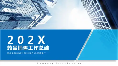 药品销售工作总结ppt