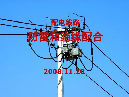 配电专业防雷和绝缘配合