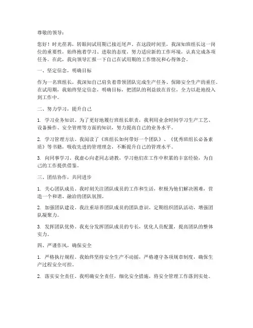 班组长试用期个人工作总结