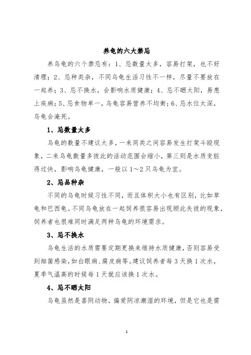 养龟的六大禁忌