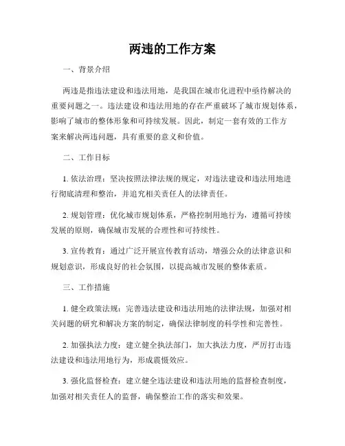 两违的工作方案