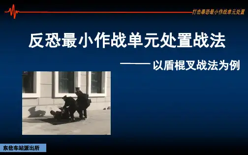 最小作战单元—以盾棍叉战法为例(课堂PPT)