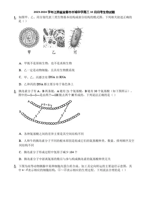 2023-2024学年江西省宜春市丰城中学高三10月月考生物试题
