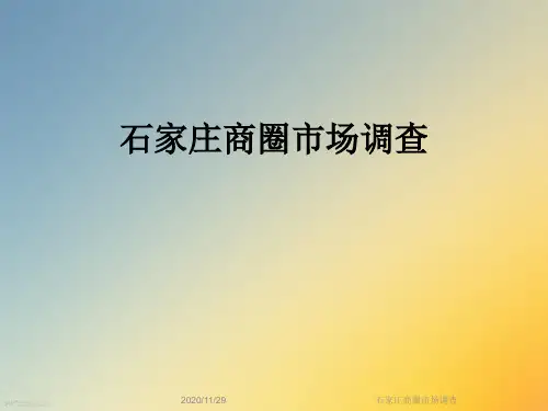 石家庄商圈市场调查