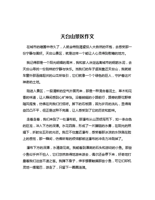 天台山景区作文