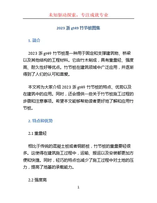 2023浙gt49竹节桩图集