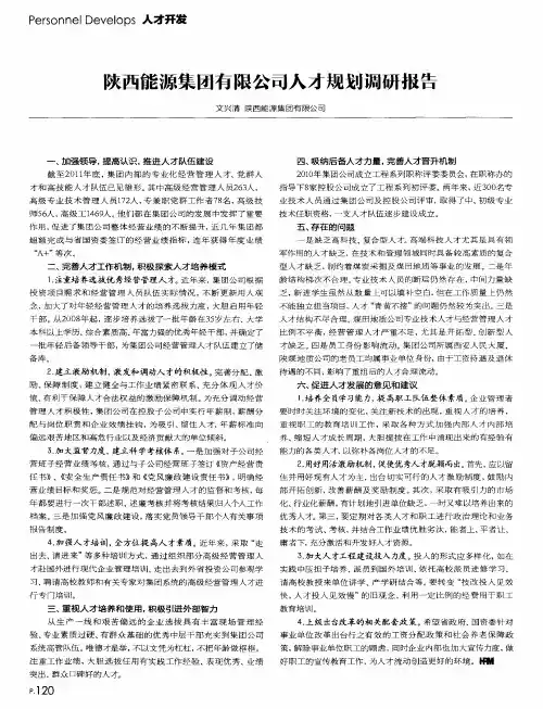 陕西能源集团有限公司人才规划调研报告